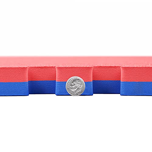 FlooringInc's 1" Thick Foam Tiles, 3'x3' or 2'x2' Reversable Interlocking Tiles, Ideal Yoga Mat, Gymnastics Mat, Workout Mat for MMA and Jiu Jitsu Training