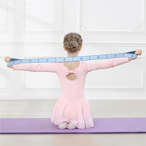 Resistance Bands Set with Numbers, 8/10/12 Loop Stretch Strap 3-Pack, Adjustable Exercise Bands for Yoga, Full Body Workout, Shaping, Stretching and Home Gym Exercise