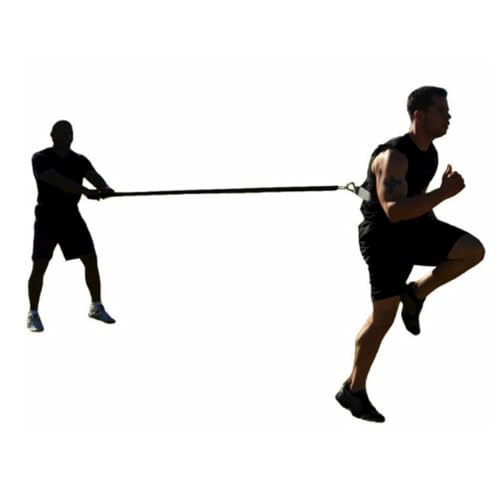Sled Harness Tire Pulling Speed Resistance Power Belt Adjustable Weight Trainer with Pull Strap, sled pulling harness, STANDARD, ordinary