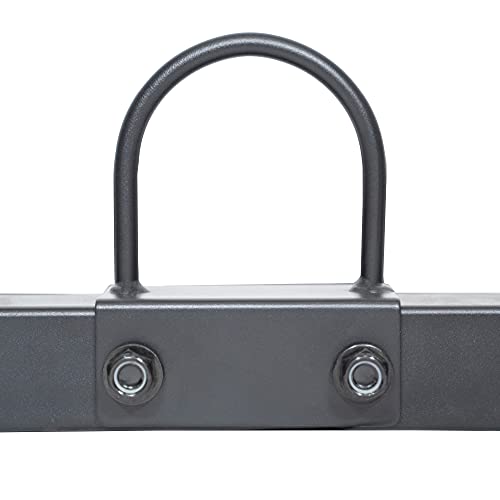 Sunny Health & Fitness Power Cage Squat Rack Upgrade Attachments, Dip Bar, Plate Bar Holder, Belt Squat, J Hook, Lat, Adapter, U Ring, Pull Up Bar, Landmine, Captain's Chair, Tricep Rope For Home Gym - style: U-Ring