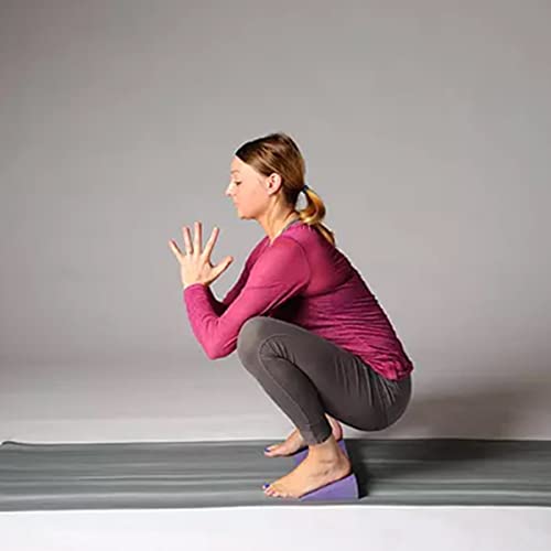 Hugger Mugger Yoga Wedge - Gentle Lift for Sensitive Wrists, Durable and Stable, Supports Joints, Great for Downward Dog - color: Purple