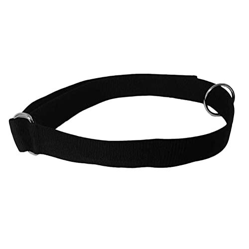 SPEEDSTER Basic Speed and Agility Training Belt for Athletes- Male and Female- Fits 28" - 52" Waist with Double D-Ring Closure and Floating O-Ring