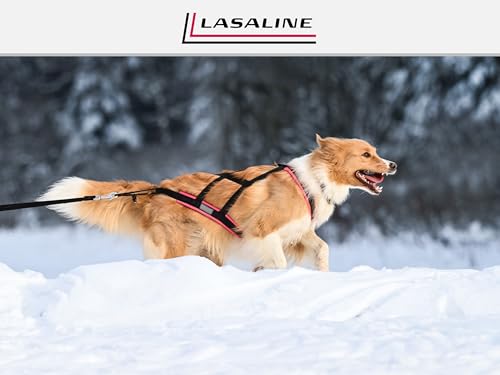 Dog Weight Pulling Harness, XBack for Canicross, Dog Sport, Bike Joring, Ski Joring, Sled Harness, Dog mushing, Dog Running Harness, Black Lightblue