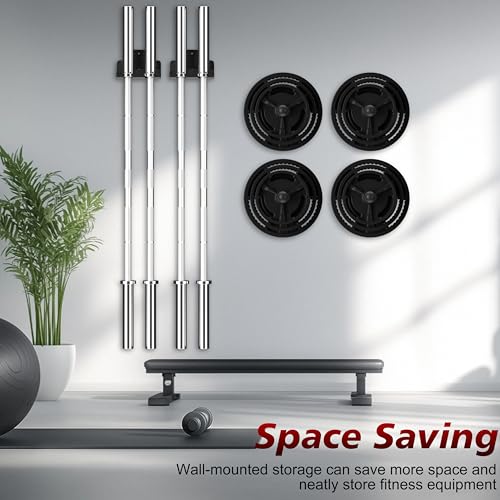 Wall Mounted Weight Plate Holder, 4 Pack, with 1 Pack Barbell Hanger