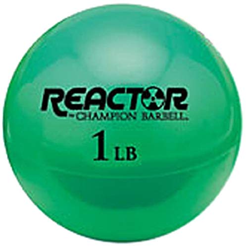 Champion Barbell Hand Held Fitness Ball