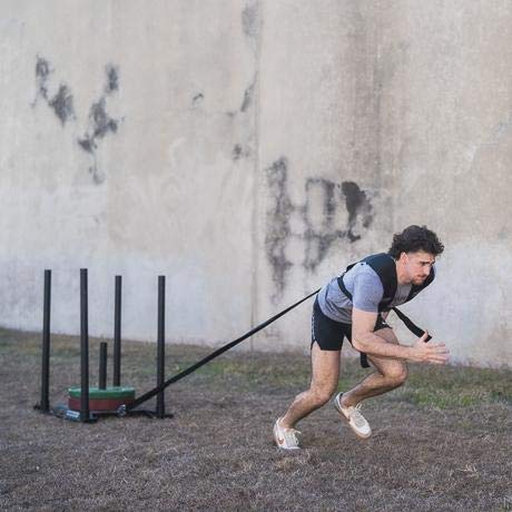 FringeSport Universal Sled Harness Pulling Fitness – Prowler Sled Harness Medium Size with 7 feet long Straps