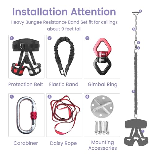 JYHHCYS Bungee Fitness Equipment Set Plus Size, Heavy Duty Aerial Yoga Resistance Rope for Home Gym Training & Fitness, Indoor Bungee Jumping Harness(Full Set 3XL - 220 lbs/100kg)