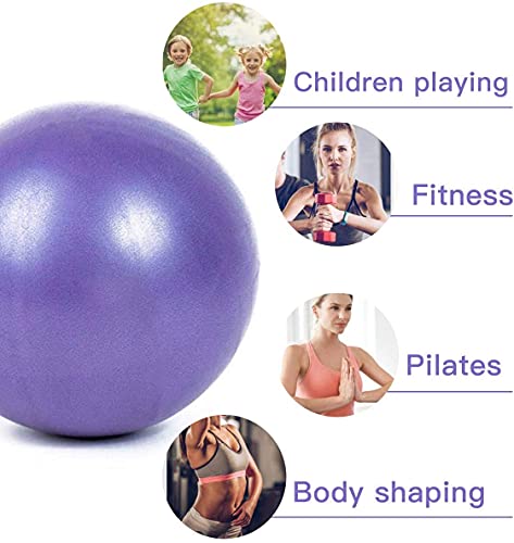 Mini Yoga Balls 6 Inch Exercise Pilates Therapy Balance Micropore Ball Barre Equipment for Home Stability Training Physical Core Training