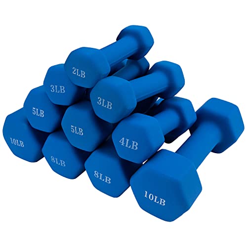 Saorzon Dumbbells Set of 2 Exercise Fitness Dumbbell for Home Gym Free Weights Hand Hex Dumb Bells