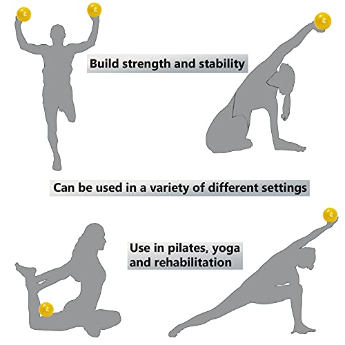 Trademark Innovations Weighted Toning Exercise Ball - Set of 2