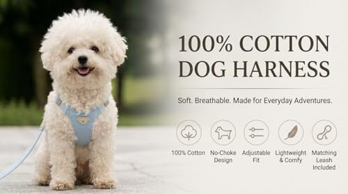 AetruffyPet 100% Cotton Dog Harness and Leash Set – Soft Breathable Vest for Small Dogs, Adjustable No-Choke Design, Lightweight Walking Set (XS/S/M) (Blue, XS) - color: Blue, size: XS