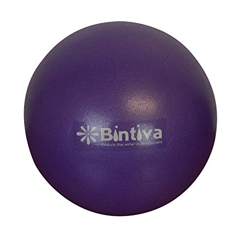 bintiva Mini Pilates Ball 7-9 Inch Stability Ball Used for Exercise Yoga Pilates and Therapy