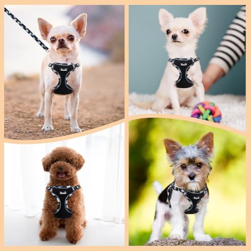 Lukovee No Pull Puppy Harness and Leash Set - Adjustable Lightweight Soft Dog Harness, Reflective Step in Breathable Mesh Vest with 51in Leash for Walking Hiking Small Medium Dogs (Black, XS)