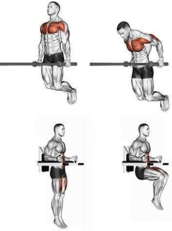 Wall Mounted Dip Station with 4 Padded Handles, Heavy Duty Exercise Bar