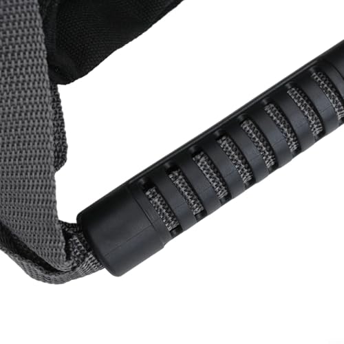 Adjustable Canvas Kettlebell Sandbag with Handle and Tight Closure Black 10x9.8x6.7 inch for Home Gym Fitness Yoga Strength Exercise