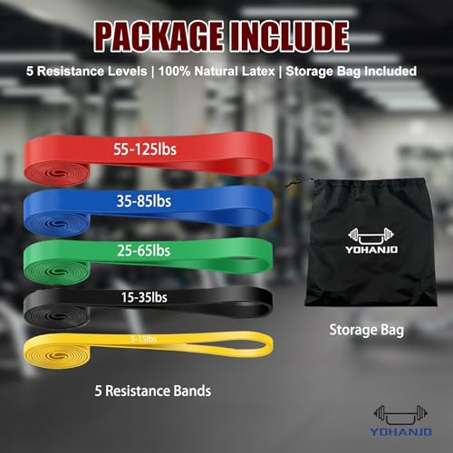Resistance Bands for Working Out, Pull Up Assistance Bands for Men & Women, Exercise Bands for Full-Body Training, Physical Therapy, Fitness, Stretch Workout Bands at Home, Gym