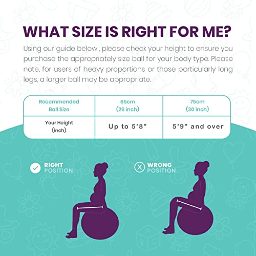 The Birth Ball - Birthing Ball for Pregnancy & Labor - 18 Page Pregnancy Ball Exercises Guide by Trimester - Non Slip Socks - How to Dilate, Induce, & Reposition Baby for Mom - size: 65 cm