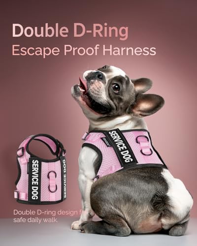 Service Dog Vest for Small Dogs - Air Mesh Breathble Emotional Support Animal Vest with Velcro Patches - Puppy Harness and Leash Set Adjustable Neck and Chest