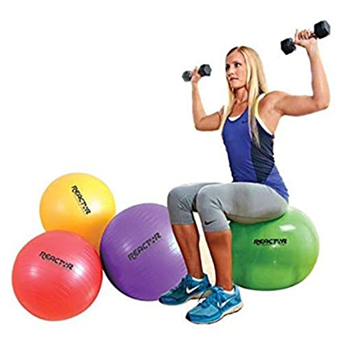 Champion Barbell Reactor Fitness Ball
