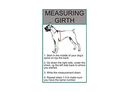 Doggie Stylz Service Dog in Training Vest 2 Hook and Loop Removable Reflective Patches, Straps and Handle – Harness Comes in Sizes XXS to XXL and 4 Colors (Girth 12-16", Tie Dye) - color: Tie Dye, size: Girth 12-16"
