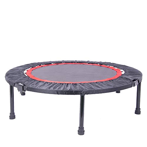 Ehao Trampoline for Kids or Adults - 40 Inch Small Trampoline Indoor Fitness Rebounder Trampoline with Safety Pad | Max 300 lbs