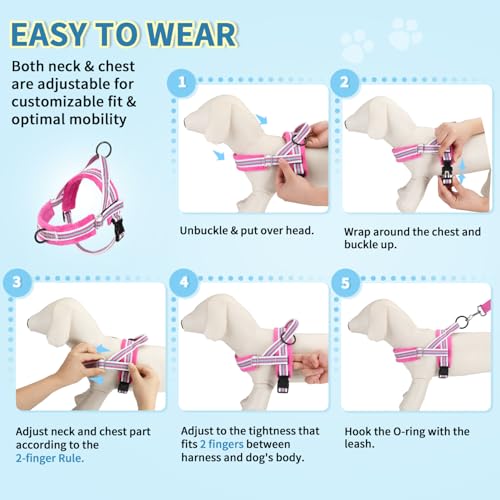 Lukovee No Pull Dog Harness and Leash Set, Soft Padded Small Dog Harness, Neck & Chest Adjustable Reflective Vest Puppy Harness with 4ft Lightweight Anti-Twist Dog Leash for Small Dogs (XS, Fuschia)