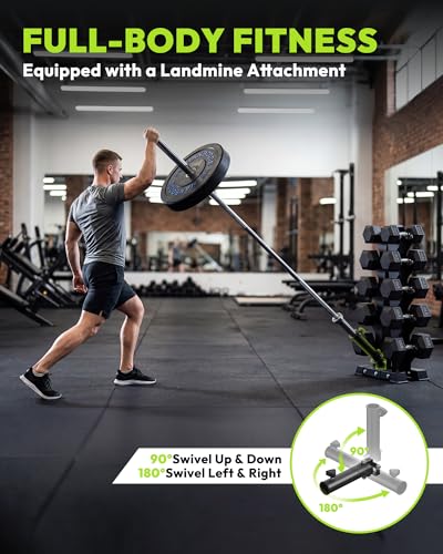 HANDBODE A-Frame Dumbbell Rack Heavy Duty Weight Stand for Dumbbells, Space-Saving Metal Storage Organizer, Sturdy Dumbbell Holder for Home Gym - style: 500 lb Set (40, 45, 50, 55, 60 lb) *2 & Rack