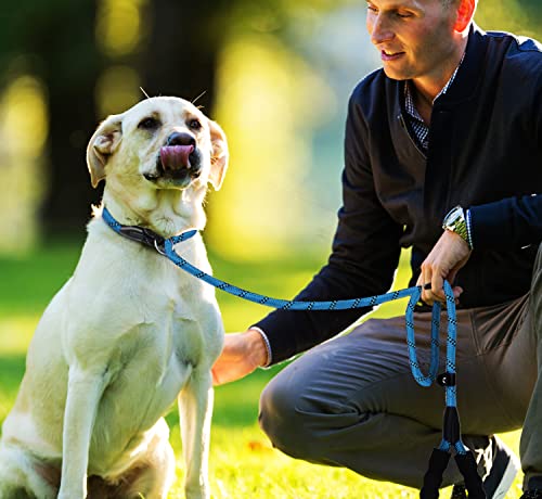 Dog Leash, 6 FT Heavy Duty Dog Leashes with Comfortable Padded Handle,Blue - color: Blue, size: 6 Feet x 1/2 Inch