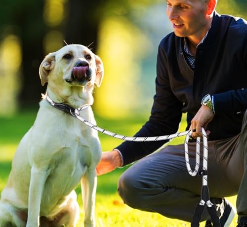 6 FT Heavy Duty Dog Leashes with Comfortable Padded Handle,Light Gray - color: Light Gray, size: 6 Feet x 1/2 Inch