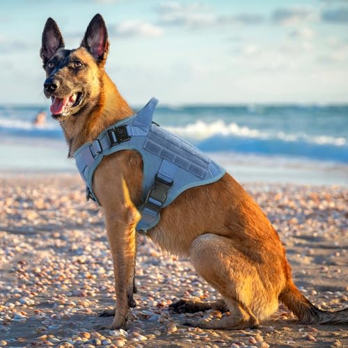 rabbitgoo Tactical Dog Harness for Large, Heavy Duty Military No Pull Vest - color: Blue, size: Large