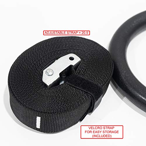 Valor Fitness Wood and Plastic Gymnastics Exercise Rings with Adjustable Straps – Promotes Muscular Physique and Improves Performance in Cross Training and Strength Training - color: GRA-2 Plastic Gymnastics Rings