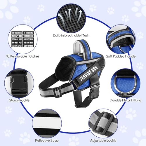Service Dog Vest Harness and Leash Set, Animire in Training Dog Harness with 10 Dog Patches, Reflective Dog Leash with Soft Padded Handle for Small, Medium, Large, and Extra-Large Dogs