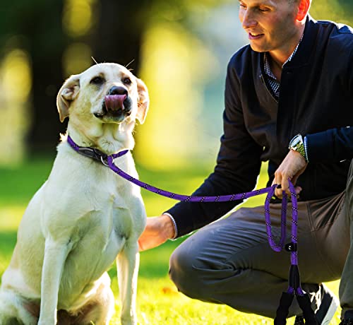 Dog Leash,6 FT Heavy Duty Dog Leashes with Comfortable Padded Handle,Purple - color: Purple, size: 6 Feet x 1/2 Inch