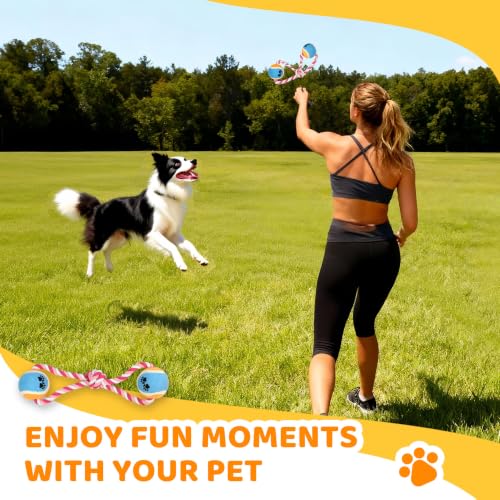 POPMOON Dog Agility Course Backyard Set, 11-Piece Dog Agility Equipment