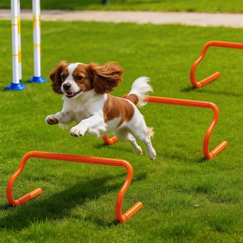 10 Pack 9" Agility Hurdles, Plastic Speed Agility Training Hurdle, Detachable Sturdy Plyometric Hurdles, Training Equipment Set with Carry Bag for Football, Soccer, Basketball, Athletes