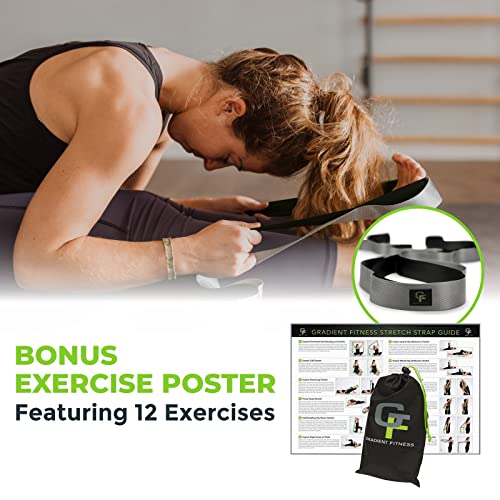 Stretching Strap for Physical Therapy, 12 Multi-Loop Stretch Strap 1.5" W x 8' L, Neoprene Handles, Physical Therapy Equipment, Yoga Straps for Stretching, Leg Stretcher.