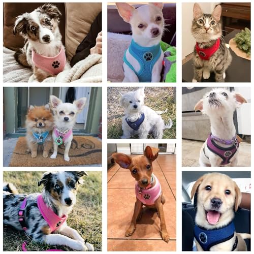 BINGPET Small Dog Harness, No Pull Step-in Puppy Pet Vest, Blue - color: Navy Blue, size: S (NECK: 12", CHEST: 14"-18")