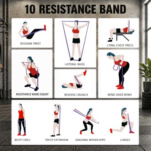 Pull Up Assistance Bands,Muit Levels Resistance Bands for Senior/Adults,Exercise Bands with Door Anchor, Strength Bands for Fitness Training, Physical Therapy,Home Gym Workouts