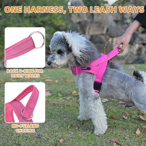 No Pull Harness Small Size Dog with Handle, Easy Walk Puppy Vest Harness Neck & Chest Soft Paded Adjustable, Reflective & Lightweight Escape Proof Breathable Mesh Pet Running Harness, Pink S