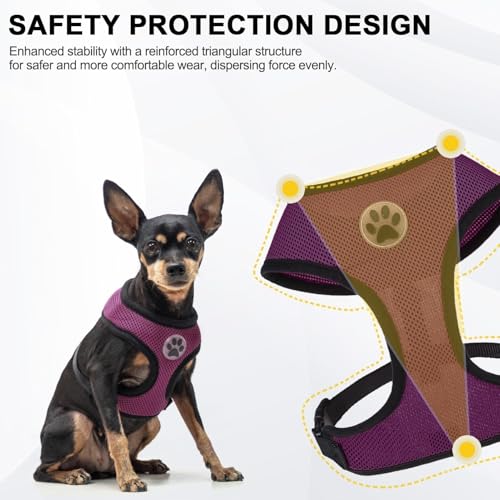BINGPET Small Dog Harness, No Pull Step-in Puppy Pet Vest, Purple - color: Purple, size: XS (NECK: 10", CHEST: 10"-14")