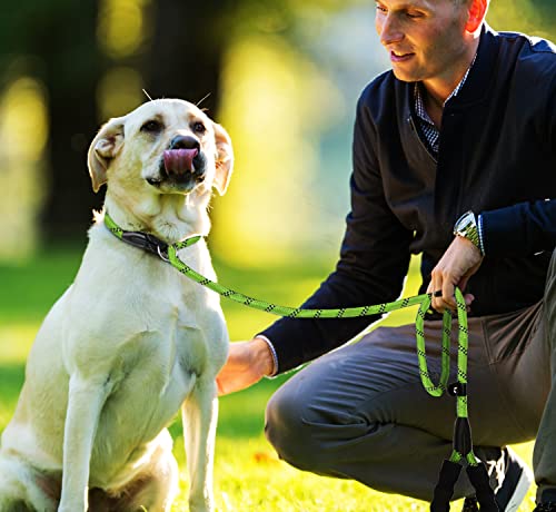 Dog Leash, 6 FT Heavy Duty Dog Leashes with Comfortable Padded Handle,Green - color: Green, size: 6 Feet x 1/2 Inch