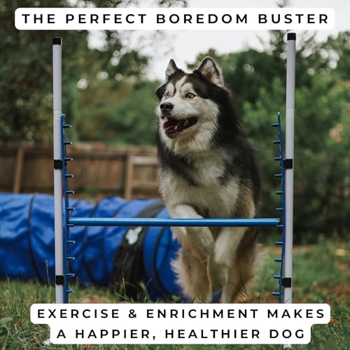 4 Pack Adjustable Dog Agility Bar Jumps w/Cup Strips | Competition-Style Jump Cups for Height Class & Safe Displacement