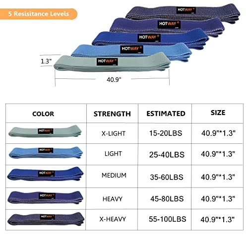 HOTWAY Long Resistance Bands Set, Fabric Pull Up Assistance Exercise Bands for Women, 5 Pack Thick Cloth Heavy Duty Stretch Bands for Full Body Workout & Weight Training - color: Blue