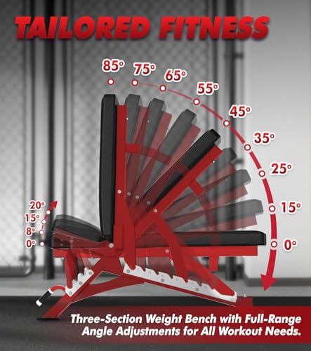 RitFit Rubber Coated Hex Dumbbell Set with Rack, 5-780LB for Home Gym Strength Training, Anti-Slip Knurled Handle, Hexagon Anti-Roll, Heavy-Duty Storage Rack - style: 300 LB Set with Red Adjustable Weight Bench (10-50LB)