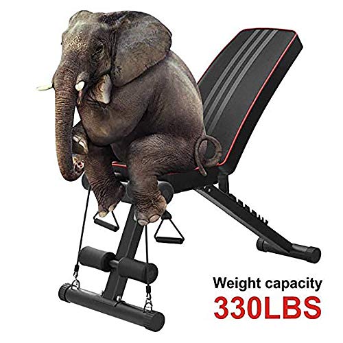 Weight Bench Adjustable Foldable Compact Workout Bench for Home Gym Multifunctional Bench Press Full Body Workout Equipment for Strength Training