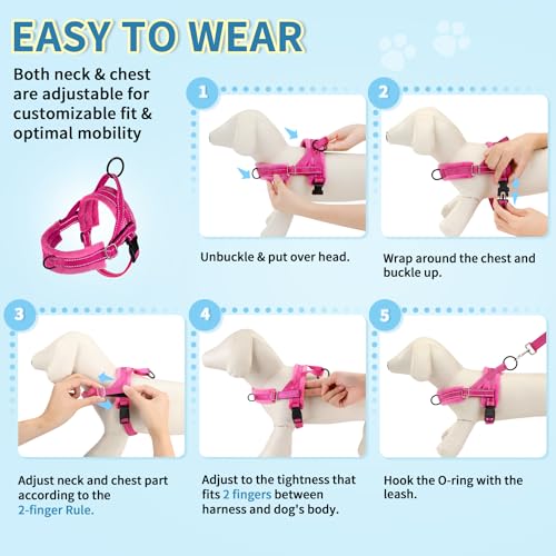 SlowTon No Pull Small Dog Harness and Leash Set with Front Clip - color: Fuchsia, size: X-Small