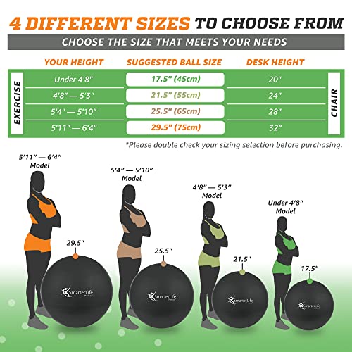 SmarterLife Exercise Ball, Yoga Ball for Gym, Balance, Stability, Pregnancy - color: Black, size: 45 cm
