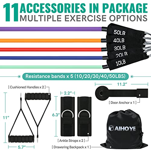 Resistance Bands for Working Out, Exercise Bands with Handles, Stretch Bands for Exercise, Workout Bands with Door Anchors for Physical Therapy & Strength Training