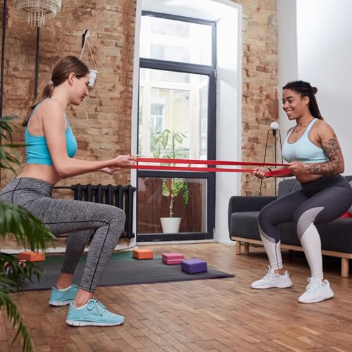 Resistance Bands for Working Out, Pull Up Assistance Bands, Exercise Bands for Men and Women, Workout Bands, Resistance Bands Set with Door Anchor, Muscle Training, Home Workout