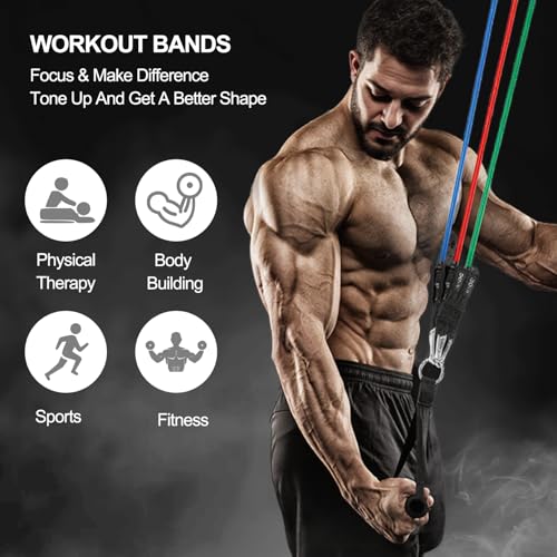 Resistance Bands,Exercise Bands,Resistance Bands for Working Out with Handles for Men and Women,Workout Bands with Door Anchor and Ankle,Strength Training Home Gym Equipment